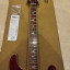 PRS SE Standard 24