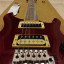 PRS SE Standard 24