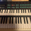 YAMAHA DX-100