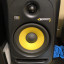 Monitores krk6