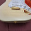 Cambio Fender Stratocaster Richie Kotzen