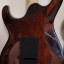 Cort g280 Select Amber