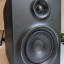 Monitores Mackie MR5 mk2