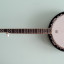 Banjo de 5 cuerdas Epiphone by Gibson MB 200