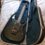 Ibanez rgt42dx dimarzio evolution