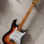 Guitarra Stratocaster "Part-Caster"