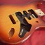 Cuerpo Fender Stratocaster USA Deluxe Swamp Ash ACB