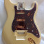 Fender American Stratocaster cuerpo de 1983 y accesorios