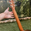 Taylor GS Mini Rosewood (Sin amplificar)