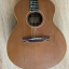 Guitarra acústica Alhambra J2 con previo activo