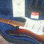 Tokai Goldstar Sound AST88 Stratocaster