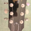Gibson ES-339 Studio Memphis/Cambios