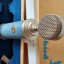 Micrófono Bluebird