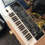 Roland GAIA SH-01