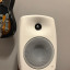 Genelec 8040 A