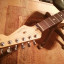 Fender stratocaster standard  (Lindy Fralin)