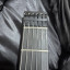 Steinberger GT-Pro   ( RESERVADO )