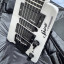 Steinberger GT-Pro   ( RESERVADO )