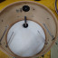 Premier "Hi-Fi" 50/60's en White Marine Pearl