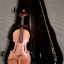 Violin Yamaha V 20 G