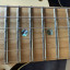 Fender Telcaster Richie Kotzen Japan 2014