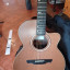 Guitarra Alhambra A3 Cw e3