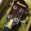 Bajo Ibanez Musician MC924