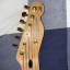 Fender Telcaster Richie Kotzen Japan 2014