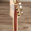 Ibanez SIX70FDBG  "Iron Label" Pastillas DiMarzio
