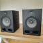 Monitores de estudio Focal Alpha 80