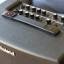 Roland AC-40 para guitarra y micro