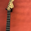 Fender Stratocaster Jim Root Usa Venta 1500euros