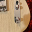 Fender Telecaster Custom Shop LTD TOMATILLO JRN Relic