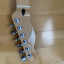 Mástil fender telecaster mexico reverse