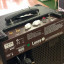 Amplificador válvulas Laney Cub 8 (NUEVO)