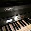 Piano Casio Celviano AP 700 Bk