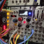 Xaoc Zadar Eurorack