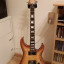 Schecter C1 Custom FR