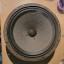 celestion g12h30 blackback