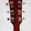 Godin Icon Type 2 Classic + € por Gibson SG