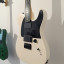 Fender Jim Root Telecaster Flat White