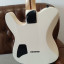 Fender Jim Root Telecaster Flat White