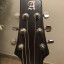 Guitarra acústica Alhambra J1