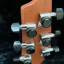 Guitarra eléctrica-acústica GODIN LGXT