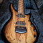 REBAJA VENDO Music man majesty7 Spice melange