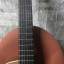 Cambio  guitarra española Ortega Ben Woods Signature BWSM/2