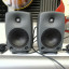 Genelec 8030A (La pareja) + 2 cables xlr