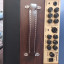 Amplificador Para Guitarra Acustica RichWood RAC-50 W