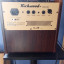 Amplificador Para Guitarra Acustica RichWood RAC-50 W