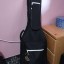 Guitarra Godin ACS SA